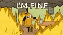 FineGPT